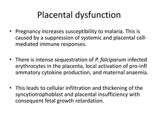 Placental dysfunction
• Pregnancy increases susceptibility to malaria. This is
caused by a suppression of systemic and placental cell-
mediated immune responses.
• There is intense sequestration of P. falciparum infected
erythrocytes in the placenta, local activation of pro-infl
ammatory cytokine production, and maternal anaemia.
• This leads to cellular infiltration and thickening of the
syncytiotrophoblast and placental insufficiency with
consequent fetal growth retardation.
 