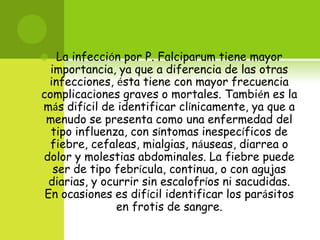  La infección por P. Falciparum tiene mayor
importancia, ya que a diferencia de las otras
infecciones, ésta tiene con mayor frecuencia
complicaciones graves o mortales. También es la
más difícil de identificar clínicamente, ya que a
menudo se presenta como una enfermedad del
tipo influenza, con síntomas inespecíficos de
fiebre, cefaleas, mialgias, náuseas, diarrea o
dolor y molestias abdominales. La fiebre puede
ser de tipo febrícula, continua, o con agujas
diarias, y ocurrir sin escalofríos ni sacudidas.
En ocasiones es difícil identificar los parásitos
en frotis de sangre.
 