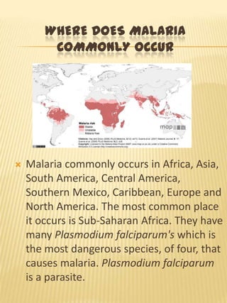 WHERE DOES MALARIA
COMMONLY OCCUR
Malaria commonly occurs in Africa, Asia,
South America, Central America,
Southern Mexico, Caribbean, Europe and
North America. The most common place
it occurs is Sub-Saharan Africa. They have
many Plasmodium falciparum's which is
the most dangerous species, of four, that
causes malaria. Plasmodium falciparum
is a parasite.