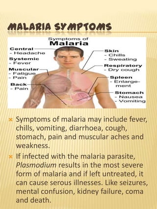 MALARIA SYMPTOMS
Symptoms of malaria may include fever,
chills, vomiting, diarrhoea, cough,
stomach, pain and muscular aches and
weakness.
If infected with the malaria parasite,
Plasmodium results in the most severe
form of malaria and if left untreated, it
can cause serous illnesses. Like seizures,
mental confusion, kidney failure, coma
and death.