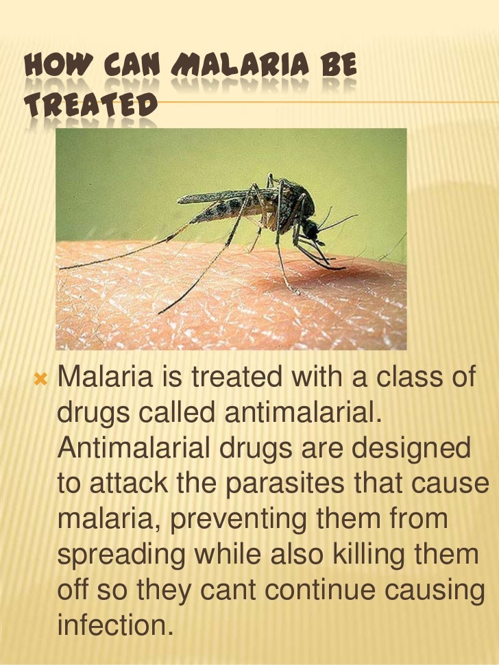 Malaria powerpoint Malaria powerpoint