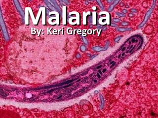 Malaria By: Keri Gregory 