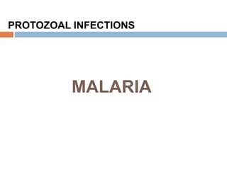 MALARIA
PROTOZOAL INFECTIONS
 