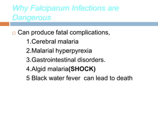 Why Falciparum Infections are
Dangerous
 Can produce fatal complications,
1.Cerebral malaria
2.Malarial hyperpyrexia
3.Gastrointestinal disorders.
4.Algid malaria(SHOCK)
5 Black water fever can lead to death
 