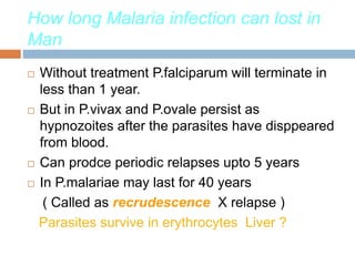 How long Malaria infection can lost in
Man
 Without treatment P.falciparum will terminate in
less than 1 year.
 But in P.vivax and P.ovale persist as
hypnozoites after the parasites have disppeared
from blood.
 Can prodce periodic relapses upto 5 years
 In P.malariae may last for 40 years
( Called as recrudescence X relapse )
Parasites survive in erythrocytes Liver ?
 