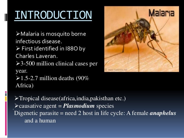 PPT ON MALARIA BY DAISY SAINI PPT ON MALARIA BY DAISY SAINI