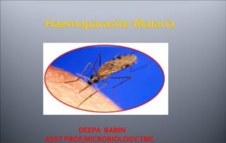 DEEPA BABIN
ASST PROF,MICROBIOLOGY,TMC
 