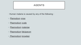 AGENTS
• Human malaria is caused by any of the following :
 Plamodium vivax
 Plasmodium ovale
 Plasmodium malariae
 Plasmodium falciparum
 Plasmodium knowlesi
 