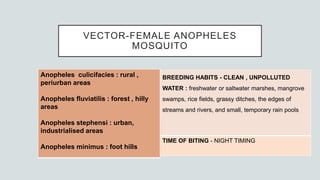 VECTOR-FEMALE ANOPHELES
MOSQUITO
Anopheles culicifacies : rural ,
periurban areas
Anopheles fluviatilis : forest , hilly
areas
Anopheles stephensi : urban,
industrialised areas
Anopheles minimus : foot hills
BREEDING HABITS - CLEAN , UNPOLLUTED
WATER : freshwater or saltwater marshes, mangrove
swamps, rice fields, grassy ditches, the edges of
streams and rivers, and small, temporary rain pools
TIME OF BITING - NIGHT TIMING
 