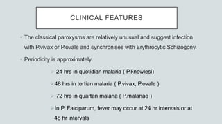 • The classical paroxysms are relatively unusual and suggest infection
with P.vivax or P.ovale and synchronises with Erythrocytic Schizogony.
• Periodicity is approximately
 24 hrs in quotidian malaria ( P.knowlesi)
48 hrs in tertian malaria ( P.vivax, P.ovale )
 72 hrs in quartan malaria ( P.malariae )
In P. Falciparum, fever may occur at 24 hr intervals or at
48 hr intervals
CLINICAL FEATURES
 