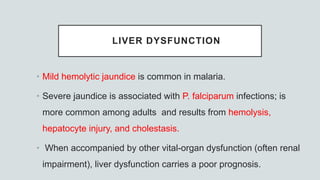 LIVER DYSFUNCTION
• Mild hemolytic jaundice is common in malaria.
• Severe jaundice is associated with P. falciparum infections; is
more common among adults and results from hemolysis,
hepatocyte injury, and cholestasis.
• When accompanied by other vital-organ dysfunction (often renal
impairment), liver dysfunction carries a poor prognosis.
 