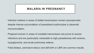 MALARIA IN PREGNANCY
• Infected mothers in areas of stable transmission remain asymptomatic
despite intense accumulation of parasitised erythrocytes in placental
microcirculation.
• Pregnant women in areas of unstable transmission are prone to severe
infections and are particularly vulnerable to high parasitemias with anemia ,
hypoglycemia, and acute pulmonary edema.
• Fetal distess, premature labour and still birth or LBW are common results.
 