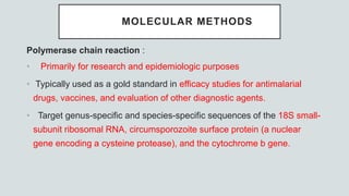 MOLECULAR METHODS
Polymerase chain reaction :
• Primarily for research and epidemiologic purposes
• Typically used as a gold standard in efficacy studies for antimalarial
drugs, vaccines, and evaluation of other diagnostic agents.
• Target genus-specific and species-specific sequences of the 18S small-
subunit ribosomal RNA, circumsporozoite surface protein (a nuclear
gene encoding a cysteine protease), and the cytochrome b gene.
 