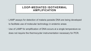 LOOP-MEDIATED ISOTHERMAL
AMPLIFICATION
• LAMP assays for detection of malaria parasite DNA are being developed
to facilitate use of molecular technology in endemic areas
• Use of LAMP for amplification of DNA occurs at a single temperature so
does not require the thermocycler instrumentation necessary for PCR.
 