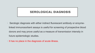 SEROLOGICAL DIAGNOSIS
• Serologic diagnosis with either indirect fluorescent antibody or enzyme-
linked immunosorbent assays is useful for screening of prospective blood
donors and may prove useful as a measure of transmission intensity in
future epidemiologic studies.
• It has no place in the diagnosis of acute illness.
 