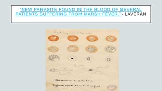“NEW PARASITE FOUND IN THE BLOOD OF SEVERAL
PATIENTS SUFFERING FROM MARSH FEVER.”- LAVERAN
 