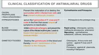CLINICAL CLASSIFICATION OF ANTIMALARIAL DRUGS
CAUSAL
PROPHYLAXIS
( tissue schizonticides )
Prevent the maturation of or destroy the
sporozoites within infected liver cells and
thus prevent erythrocytic invasion
Pyrimethamine and Primaquine
HYPNOZOITICIDES act on the hypnozoites of P. vivax and P.
ovale in the liver that cause relapse of
symptoms on reactivation.
Primaquine is the prototype drug.
BLOOD
SCHIZONTICIDES
Inhibiterythrocyticschizogonyandpreventthe
ruptureoftheinfectederythrocytes.Leadsto
freedomfromrigorsandpyrexia butdonot
eradicateinfection
Rapid acting : chloroquine, quinine,
mefloquine,atovaquone, artemisinin
Slowacting : pyrimethamine,
sulfadoxine, sulfones, tetracyclines
GAMETOCYTOCIDES Destroy the gametocytes in the blood and
thereby prevent transmission of the
infection to the mosquito.
Chloroquine , Artesunate and
quinine : against P.vivax and P.
malariae.
Primaquine :against all plasmodia,
including P.falciparum.
 