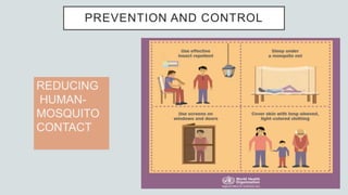 PREVENTION AND CONTROL
REDUCING
HUMAN-
MOSQUITO
CONTACT
 