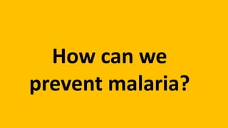 How can we
prevent malaria?
 