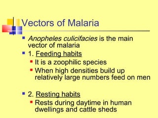 Vectors of Malaria
 Anopheles culicifacies is the main
vector of malaria
 1. Feeding habits
 It is a zoophilic species
 When high densities build up
relatively large numbers feed on men
 2. Resting habits
 Rests during daytime in human
dwellings and cattle sheds
 