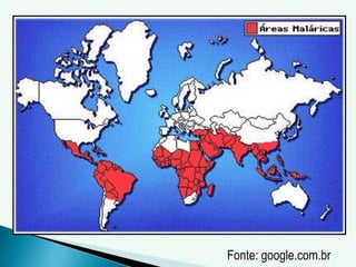 Fonte: google.com.br
 