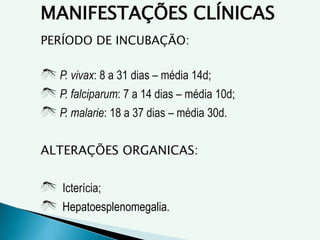 MANIFESTAÇÕES CLÍNICAS
PERÍODO DE INCUBAÇÃO:
P. vivax: 8 a 31 dias – média 14d;
P. falciparum: 7 a 14 dias – média 10d;
P. malarie: 18 a 37 dias – média 30d.
ALTERAÇÕES ORGANICAS:
Icterícia;
Hepatoesplenomegalia.
 