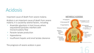 Acidosis
Important cause of death from severe malaria.
Acidosis is an important cause of death from severe
malaria; it is caused by several factors, including:
• Anaerobic glycolysis in host tissues where
sequestered parasites interfere with
microcirculatory flow
• Parasite lactate production
• Hypovolemia
• Insufficient hepatic and renal lactate clearance
The prognosis of severe acidosis is poor.
 