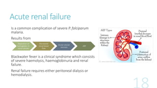 Acute renal failure
Is a common complication of severe P. falciparum
malaria.
Results from
Blackwater fever is a clinical syndrome which consists
of severe haemolysis, haemoglobinuria and renal
failure.
Renal failure requires either peritoneal dialysis or
hemodialysis.
Deposition of
hemoglobin in
renal tubules
Decreased
renal blood
flow
Acute tubular
necrosis
ARF
 