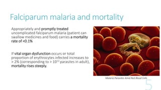 Falciparum malaria and mortality
Appropriately and promptly treated
uncomplicated falciparum malaria (patient can
swallow medicines and food) carries a mortality
rate of <0.1%
If vital organ dysfunction occurs or total
proportion of erythrocytes infected increases to
> 2% (corresponding to > 1012 parasites in adult),
mortality rises steeply.
Malaria Parasites Amid Red Blood Cells
 
