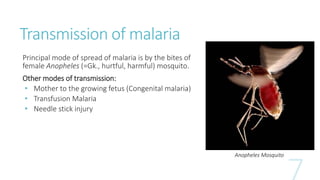 Transmission of malaria
Principal mode of spread of malaria is by the bites of
female Anopheles (=Gk., hurtful, harmful) mosquito.
Other modes of transmission:
• Mother to the growing fetus (Congenital malaria)
• Transfusion Malaria
• Needle stick injury
Anopheles Mosquito
 