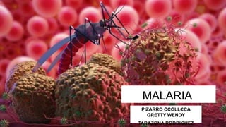 MALARIA
PIZARRO CCOLLCCA
GRETTY WENDY
TARAZONA RODRIGUEZ
 