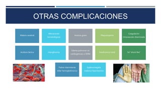 OTRAS COMPLICACIONES
Malaria cerebral
Alteraciones
hematológicas
Anemia grave Plaquetopenia
Coagulación
intravascular diseminada
Acidosis láctica Hipoglicemia
Edema pulmonar no
cardiogénicao o SDRA
Insuficiencia renal Sd "shock like"
Fiebre intermitente
biliar hemoglobinúrica
Esplenomegalia
malárica hiperreactiva
 