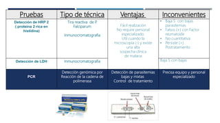 Pruebas Tipo de técnica Ventajas Inconvenientes
Detección de HRP 2
( proteína 2 rica en
histidina)
Tira reactiva de P
.
Falciparum
Inmunocromatografia
Fácil realización
No require personal
especializado.
Util cuando la
microscopía (-) y existe
una alta
sospecha clínica
de malaria
• Baja S con bajas
parasitemias
• Falsos (+) con Factor
reumatoide
• No cuantitativa
• Persiste (+)
Postratamiento
Detección de LDH Inmunocromatografia Baja S con bajas
PCR
Detección genómica por
Reacción de la cadena de
polimerasa
Detección de parasitemias
bajas y mixtas
Control de tratamiento
Precisa equipo y personal
especializado
 