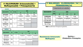 Tratamiento en adultos
P. MALARIAE= CLOROQUINA ( 3d ) +
PRIMAQUINA(1d)
P. FALCIPARUM= Artesunato(3d) +
Mefloquina(2d) + Primaquina(1d)
NIÑOS
Resistencia Artesunato-
Mefloquina
Quinina +
Clindamicin+Primaquina
 