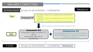 MALARIA COMPLICADA
A) Primera Opción Derivados de ARTHEMISININA + CLINDAMICINA
1ero
Valorar tolerancia oral: Recupero tolerancia V.O
2do
Artesunato V.O
4mg/kg/día hasta completar 7d
de tto
(Incluyendo días de tto
parenteral)
Clindamicina V.O
10 mg/kg/dosis diluido en 50 ml de Nacl
0.9 % administrar en infusión durante 20
a 30 min c/12h x 7 d
Falciparum
• 1era dosis: A razón de 2.4 mg/kg de peso, al ingreso del
paciente
• 2da dosis: A razón de 2.4 mg/kg de peso a las 12 horas de
la primera
• 3era dosis: 2.4 mg/kg a las 12 horas de la segunda dosis.
Artesunato EV
Derivados de ARTHEMISININA + CLINDAMICINA + PRIMAQUINA
P
. VIVAX
 
