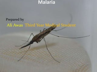 Malaria
Prepared by
Ali Awas Third Year Medical Student
 