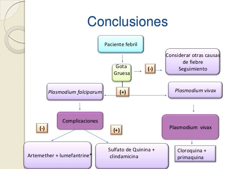 Malaria Tratamiento