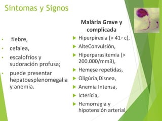 Sintomas y Signos
• fiebre,
• cefalea,
• escalofríos y
sudoración profusa;
• puede presentar
hepatoesplenomegalia
y anemia.
Malária Grave y
complicada
 Hiperpirexia (> 41◦ c),
 AlteConvulsión,
 Hiperparasitemia (>
200.000/mm3),
 Hemese repetidas,
 Oligúria,Disnea,
 Anemia Intensa,
 Icterícia,
 Hemorragia y
hipotensión arterial,
 