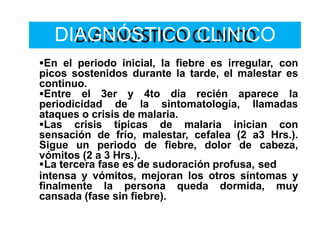 DIAGNÓSTICO CLINICO
En el periodo inicial, la fiebre es irregular, con
picos sostenidos durante la tarde, el malestar es
continuo.
Entre el 3er y 4to día recién aparece la
periodicidad de la sintomatología, llamadas
ataques o crisis de malaria.
Las crisis típicas de malaria inician con
sensación de frío, malestar, cefalea (2 a3 Hrs.).
Sigue un periodo de fiebre, dolor de cabeza,
vómitos (2 a 3 Hrs.).
La tercera fase es de sudoración profusa, sed
intensa y vómitos, mejoran los otros síntomas y
finalmente la persona queda dormida, muy
cansada (fase sin fiebre).
 
