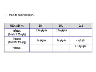 Plan de administración:
 