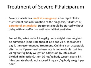Treatment of Severe P.Falciparum Severe malaria is a  medical emergency . after rapid clinical assessment and confirmation of the diagnosis, full doses of  parenteral antimalarial  treatment should be started without delay with any effective antimalarial first available. For adults, artesunate 2.4 mg/kg body weight iv or im given on admission (time = 0), then at 12 h and 24 h, then once a day is the recommended treatment. Quinine is an acceptable alternative if parenteral artesunate is not available: quinine 20 mg salt/kg body weight on admission (iv infusion or divided im injection), then 10 mg/kg body weight every 8 h; infusion rate should not exceed 5 mg salt/kg body weight per hour. 