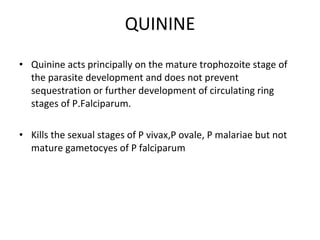 QUININE Quinine acts principally on the mature trophozoite stage of the parasite development and does not prevent sequestration or further development of circulating ring stages of P.Falciparum.  Kills the sexual stages of P vivax,P ovale, P malariae but not mature gametocyes of P falciparum  