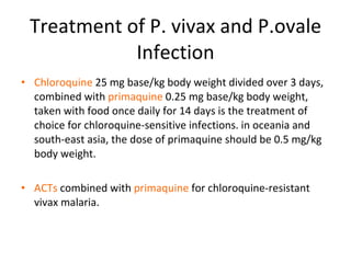 Treatment of P. vivax and P.ovale Infection Chloroquine  25 mg base/kg body weight divided over 3 days, combined with  primaquine  0.25 mg base/kg body weight, taken with food once daily for 14 days is the treatment of choice for chloroquine-sensitive infections. in oceania and south-east asia, the dose of primaquine should be 0.5 mg/kg body weight. ACTs  combined with  primaquine  for chloroquine-resistant vivax malaria. 