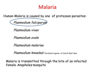 Malaria Human Malaria is caused by one  of protozoan parasites: Plasmodium falciparum Plasmodium vivax Plasmodium ovale Plasmodium malariae Plasmodium knowlesi- forested regions  of South East Asia Malaria is transmitted through the bite of an infected female  Anopheles  mosquito 