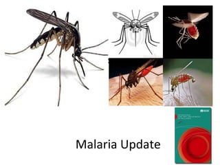 MALARIA UPDATE Malaria Update 