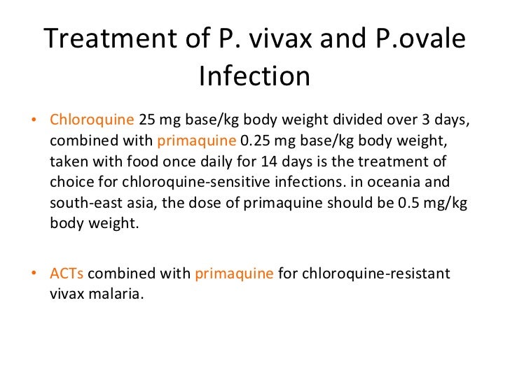 malaria update cute daily food log