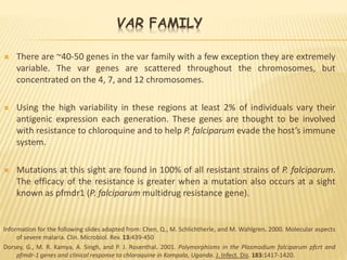 VAR FAMILY
 There are ~40-50 genes in the var family with a few exception they are extremely
variable. The var genes are scattered throughout the chromosomes, but
concentrated on the 4, 7, and 12 chromosomes.
 Using the high variability in these regions at least 2% of individuals vary their
antigenic expression each generation. These genes are thought to be involved
with resistance to chloroquine and to help P. falciparum evade the host’s immune
system.
 Mutations at this sight are found in 100% of all resistant strains of P. falciparum.
The efficacy of the resistance is greater when a mutation also occurs at a sight
known as pfmdr1 (P. falciparum multidrug resistance gene).
Information for the following slides adapted from: Chen, Q., M. Schlichtherle, and M. Wahlgren. 2000. Molecular aspects
of severe malaria. Clin. Microbiol. Rev. 13:439-450
Dorsey, G., M. R. Kamya, A. Singh, and P. J. Rosenthal. 2001. Polymorphisms in the Plasmodium falciparum pfcrt and
pfmdr-1 genes and clinical response to chloroquine in Kampala, Uganda. J. Infect. Dis. 183:1417-1420.
 