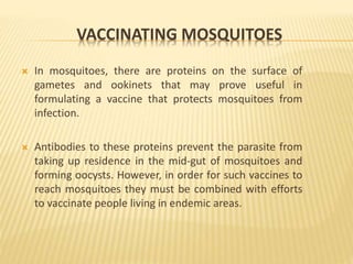 VACCINATING MOSQUITOES
 In mosquitoes, there are proteins on the surface of
gametes and ookinets that may prove useful in
formulating a vaccine that protects mosquitoes from
infection.
 Antibodies to these proteins prevent the parasite from
taking up residence in the mid-gut of mosquitoes and
forming oocysts. However, in order for such vaccines to
reach mosquitoes they must be combined with efforts
to vaccinate people living in endemic areas.
 