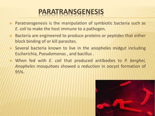 PARATRANSGENESIS
 Paratransgenesis is the manipulation of symbiotic bacteria such as
E. coli to make the host immune to a pathogen.
 Bacteria are engineered to produce proteins or peptides that either
block binding of or kill parasites.
 Several bacteria known to live in the anopheles midgut including
Escherichia, Pseudomonas , and bacillus .
 When fed with E. coli that produced antibodies to P. berghei,
Anopheles mosquitoes showed a reduction in oocyst formation of
95%.
 