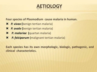 AETIOLOGY
Four species of Plasmodium cause malaria in human.
 P. vivax (benign tertian malaria)
 P. ovale (benign tertian malaria)
 P. malariae (quartan malaria)
 P. falciparum (malignant tertian malaria)
Each species has its own morphologic, biologic, pathogenic, and
clinical characteristics.
 